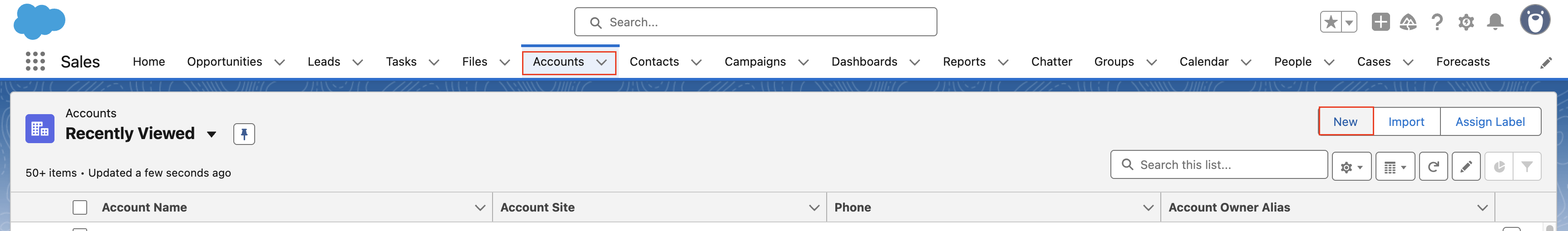 Accounts Tab in Salesforce